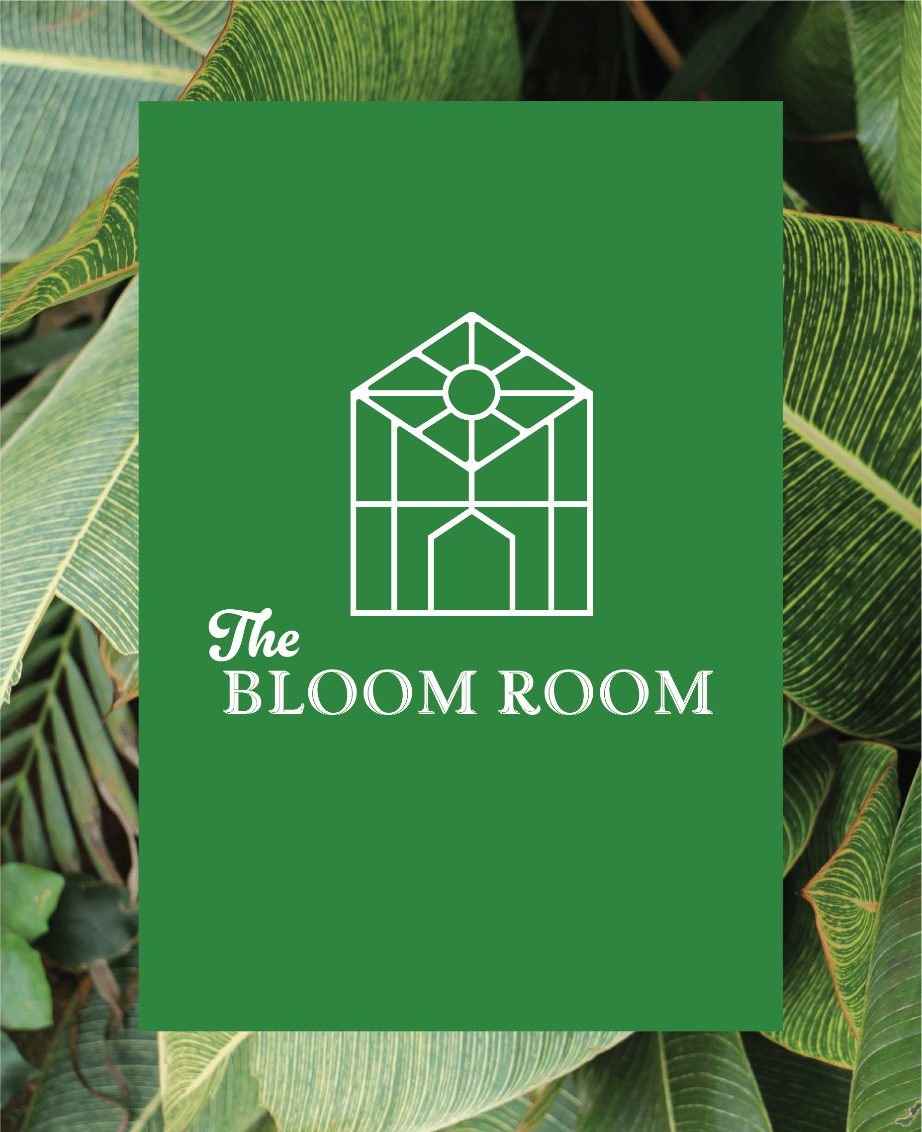 The Bloom Room