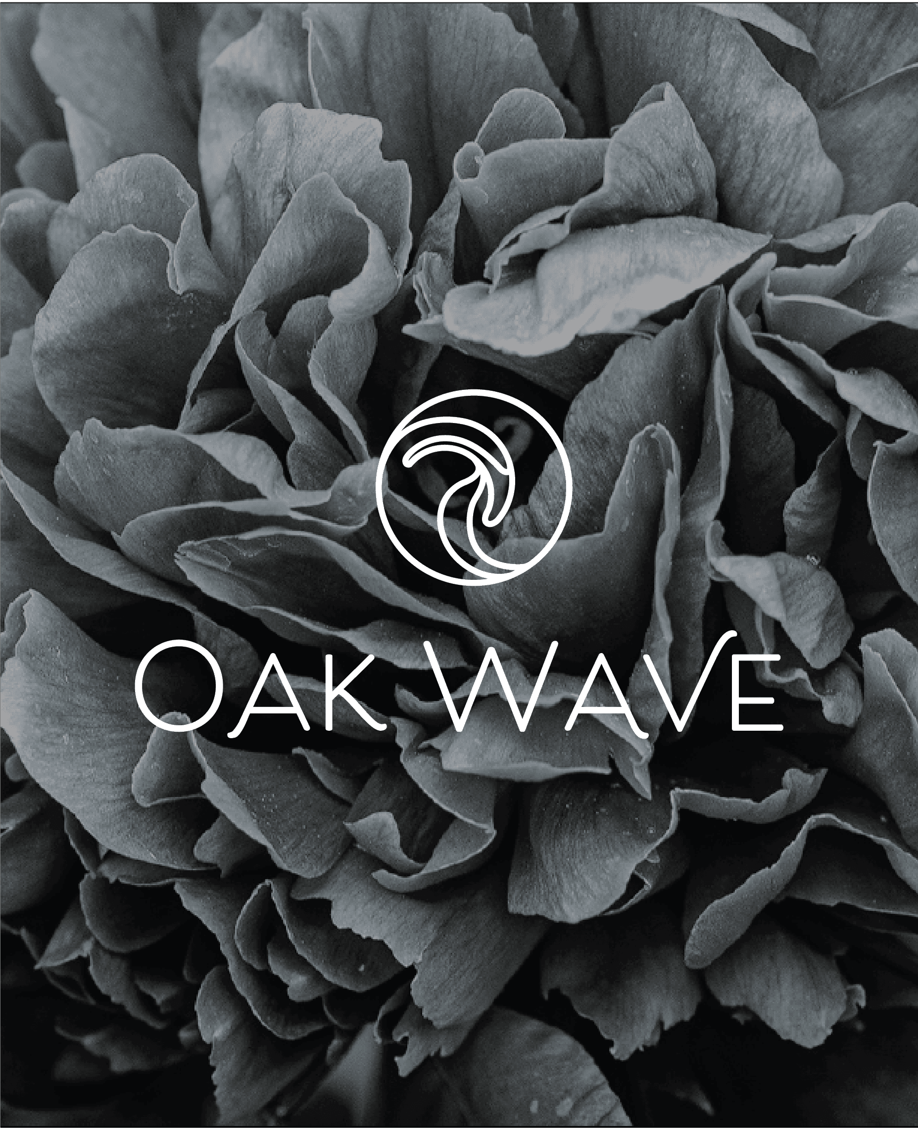 Oak Wave Photography