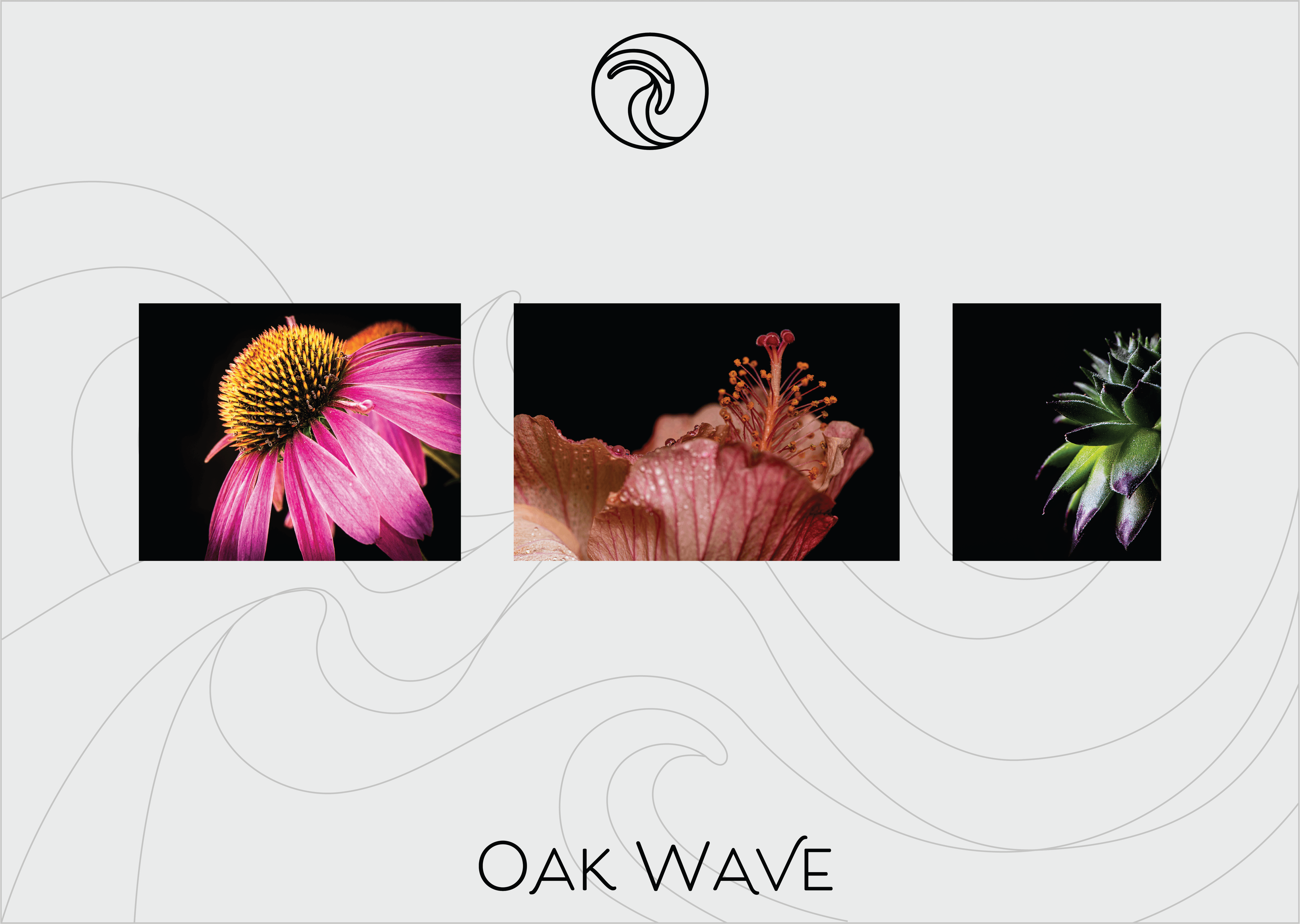 OakWave photos on pattern background