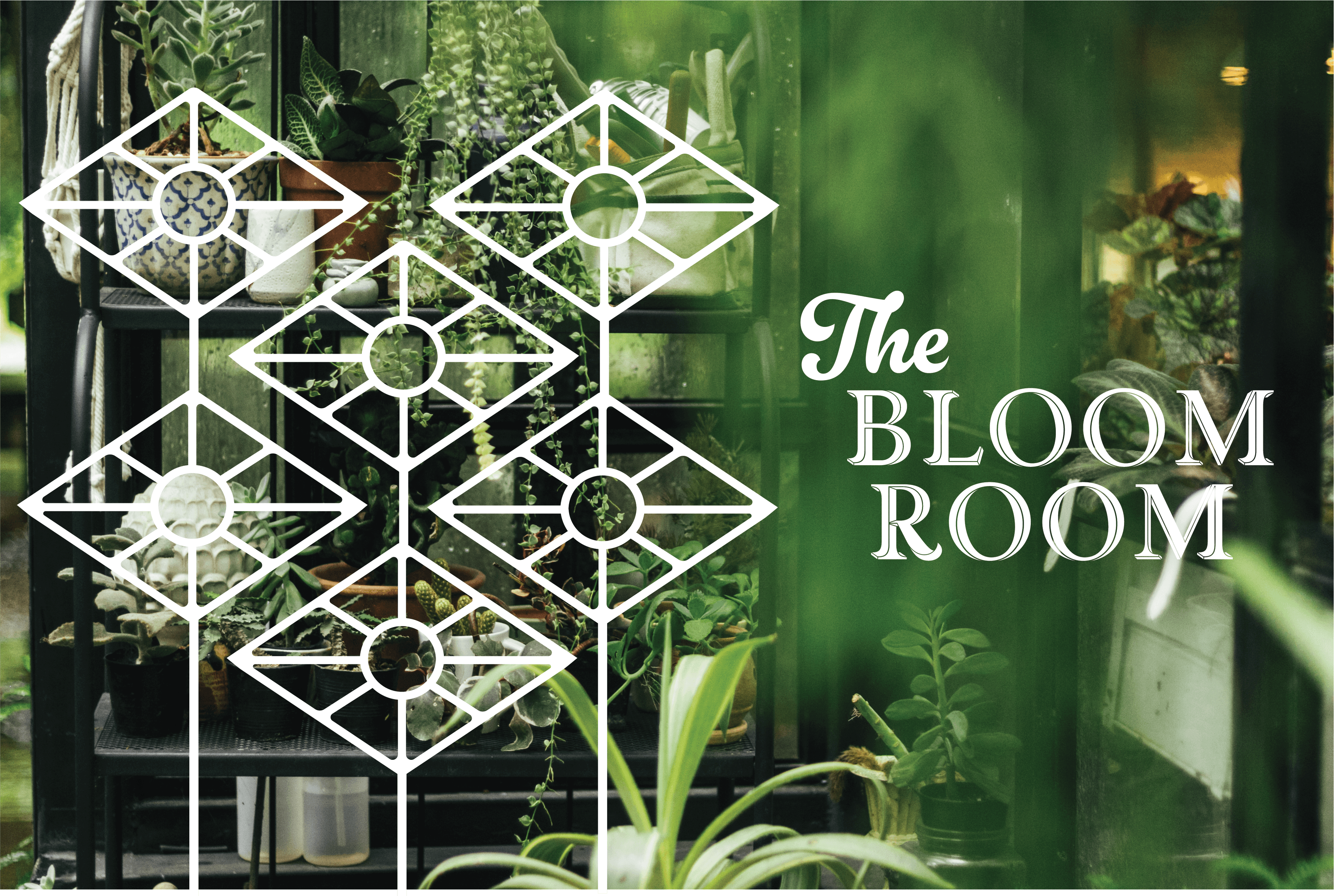 The Bloom Room logos on plant background