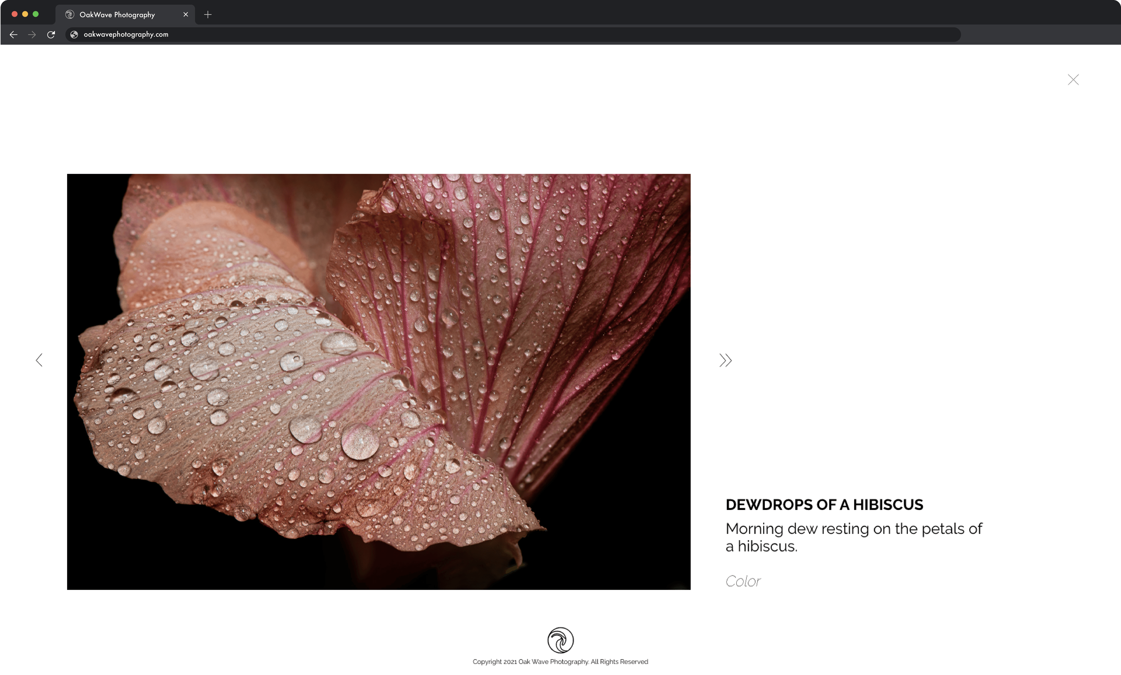 OakWave website with photo of flower