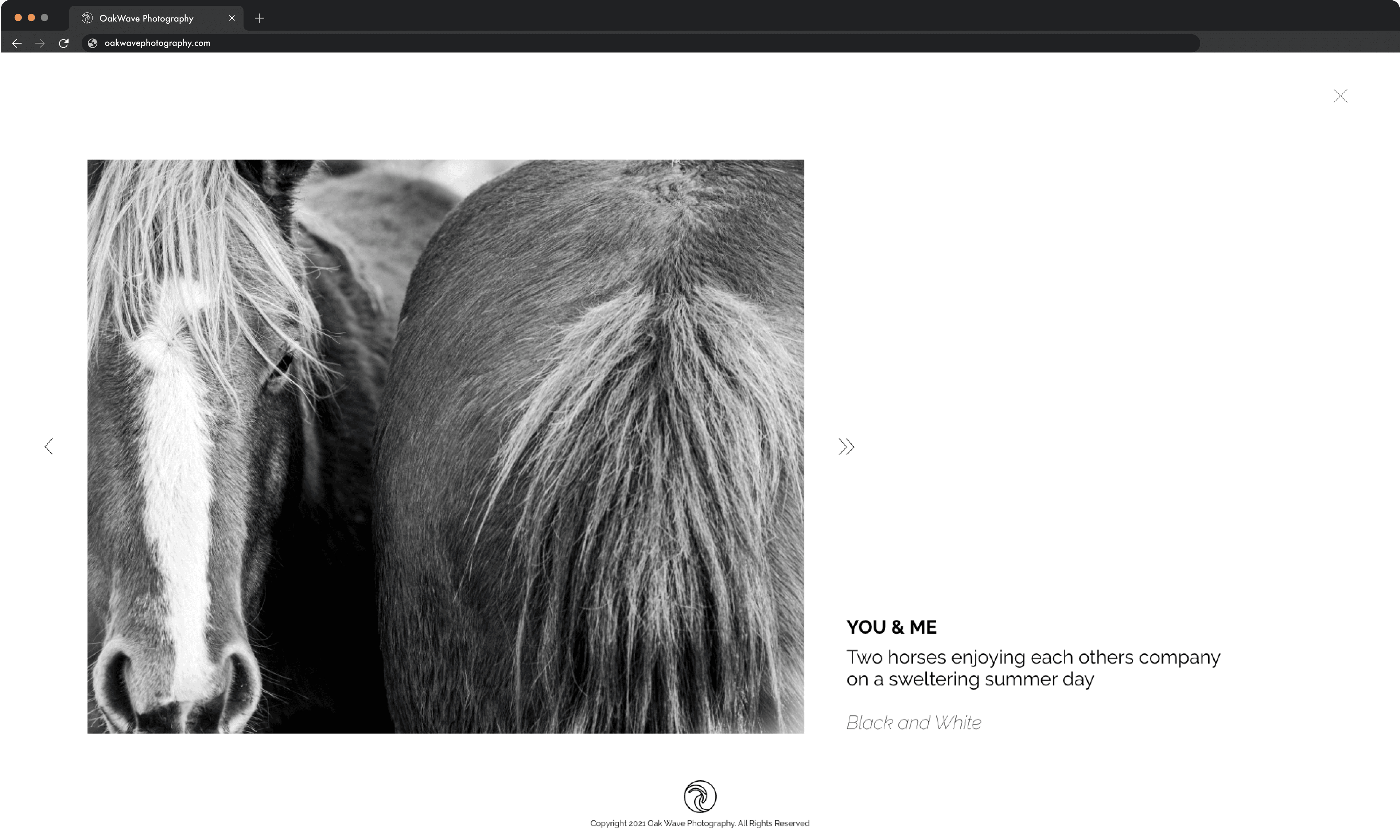 OakWave website with photo of horse